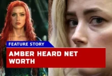 How Did the Defamation Lawsuit Impact Amber Heard Net Worth in 2024?