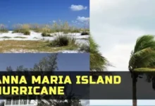 Anna Maria Island Hurricane Witness Hurricane Idalia Impact Live on Beach Cams