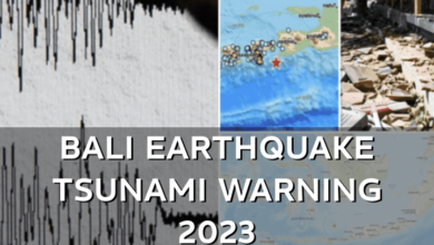 Bali Earthquake Tsunami Warning 2024 Unraveling the Recent Seismic Events