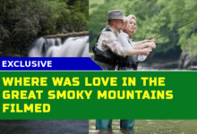 Where Was Love in the Great Smoky Mountains Filmed? Filming Locations and Cast Details