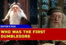 Who Was the First Dumbledore? Michael Gambon Takes Over in Harry Potter Movies